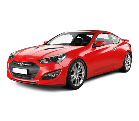Protezione soglia porta in acciaio inossidabile Hyundai Genesis