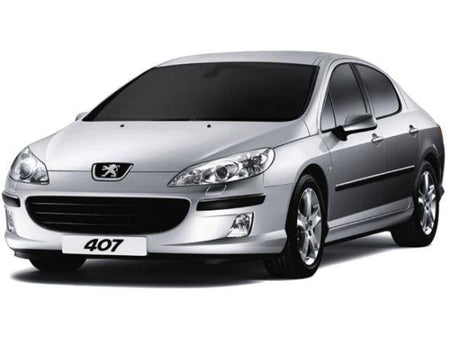 Deflettori aria Peugeot 407