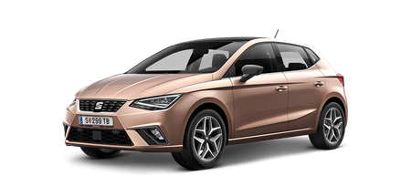 Protezioni per bagagli in acciaio inossidabile Seat Ibiza