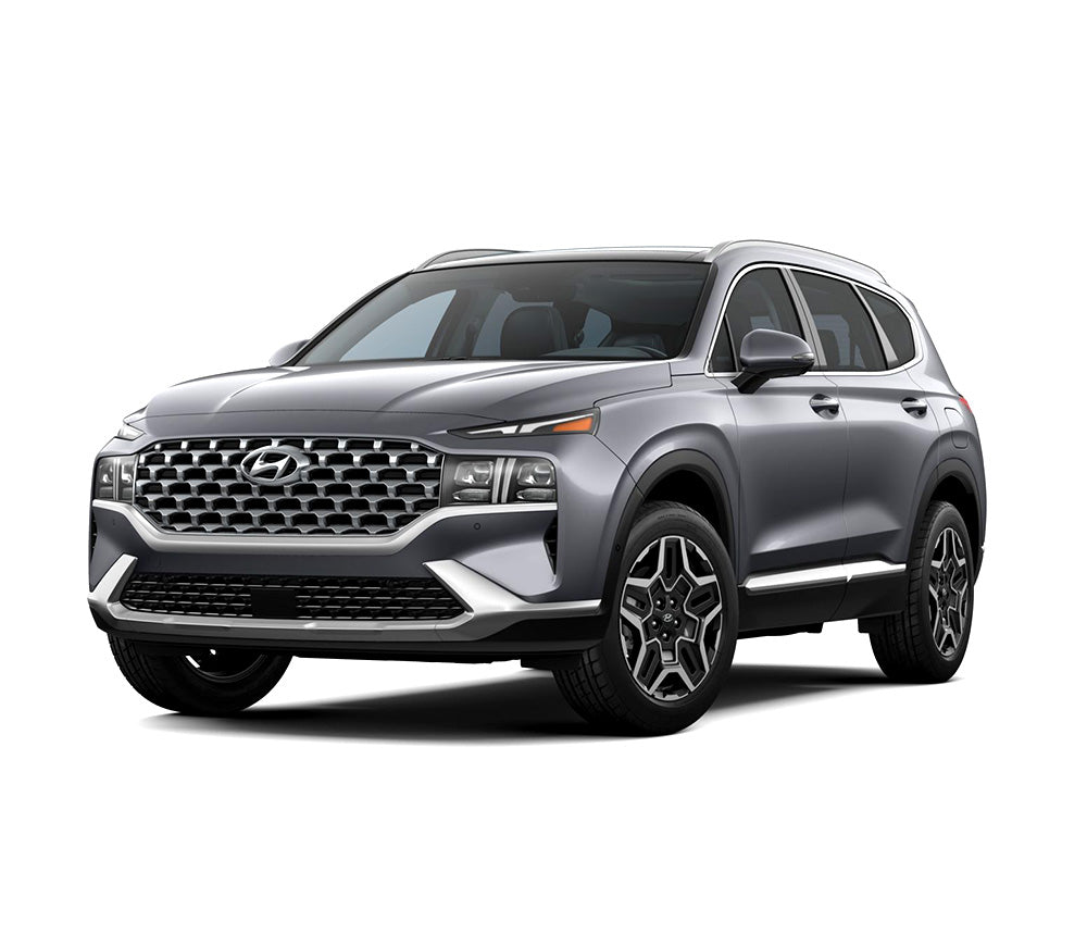 Protezione soglia porta in acciaio inossidabile Hyundai Santa Fe IV fabbricazione 08.2018 - presente, carrozzeria suv