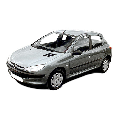 Protezione soglia porta in acciaio inossidabile Peugeot 206 fabbricazione 1998 - 2010, carrozzeria hatchback