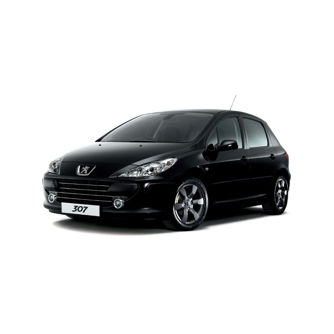 Tappetini auto in gomma Peugeot 307 Facelift fabbricazione 2005 - 2012, carrozzeria hatchback
