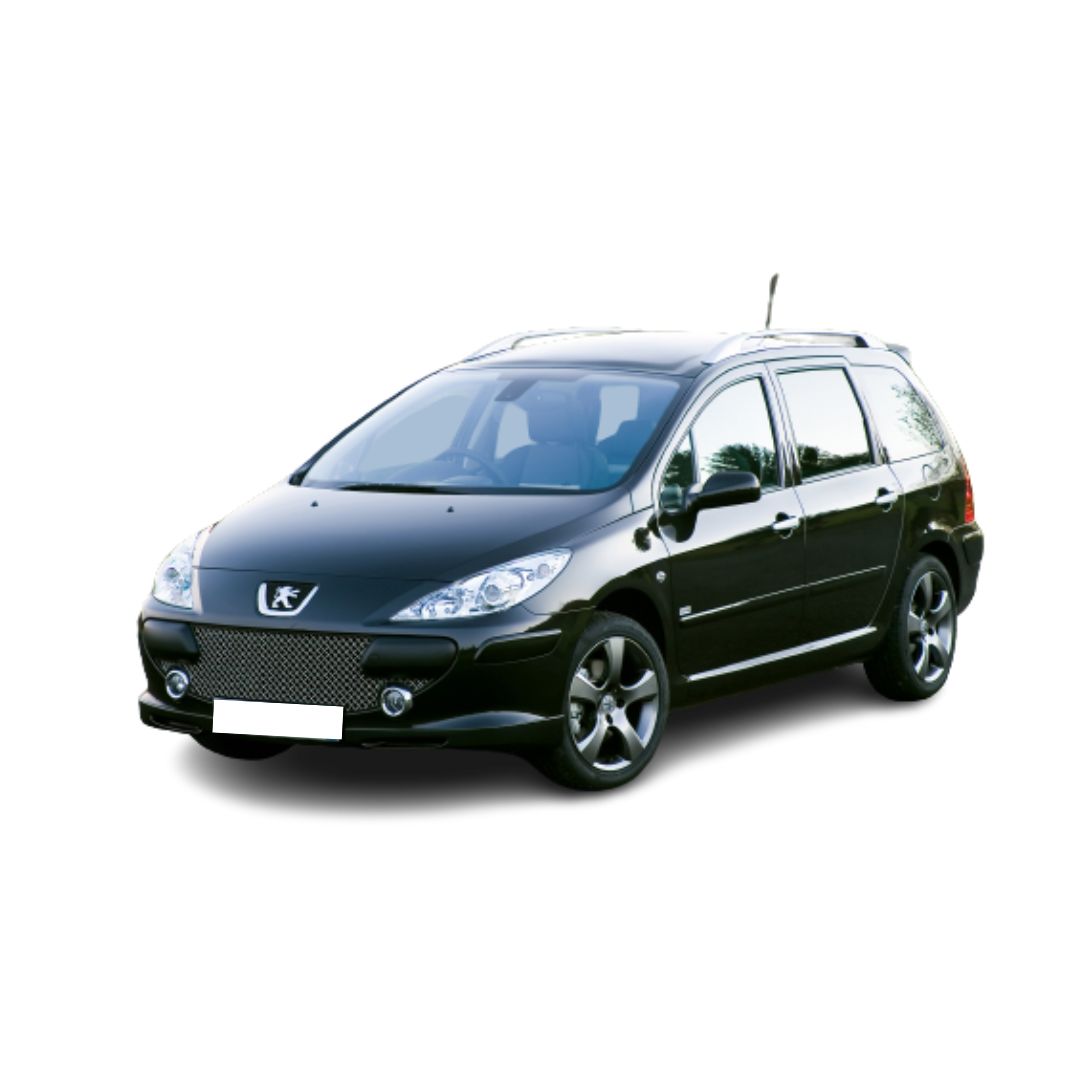 Vasche baule Peugeot 307 Facelift fabbricazione 2005 - 03.2008, carrozzeria auto famigliare