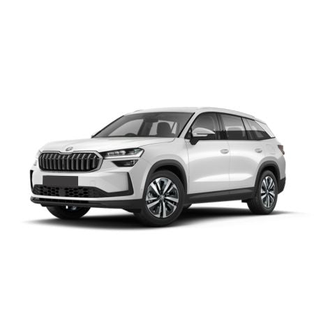 Protezione soglia porta in acciaio inossidabile Skoda Kodiaq PHEV fabbricazione 04.2024 - presente, carrozzeria suv