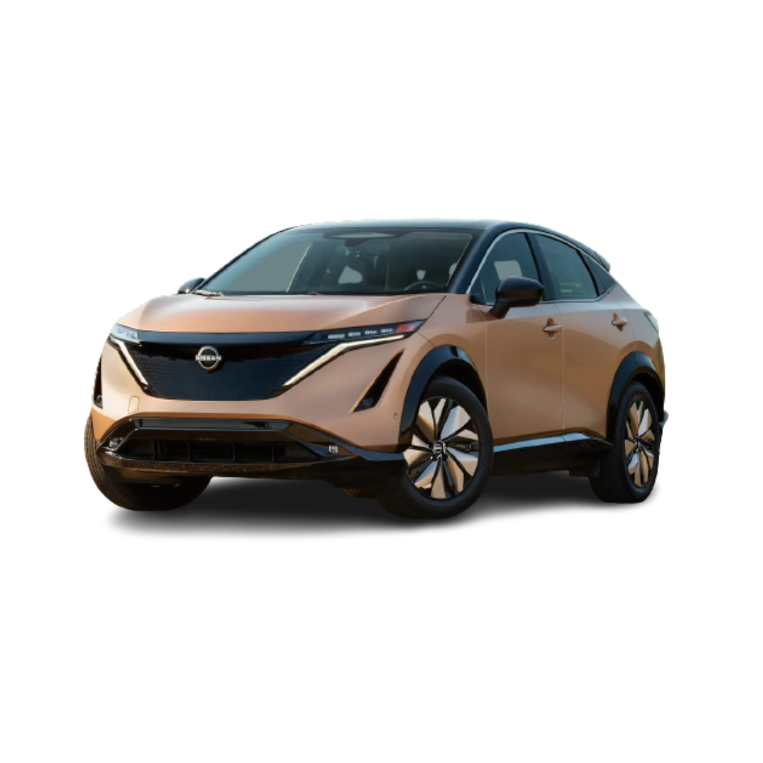 Rete del bagagliaio Nissan Ariya
