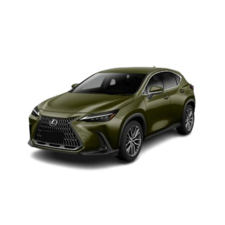 Vasche baule Lexus NX II (Z20) fabbricazione 12.2021 - presente, carrozzeria suv