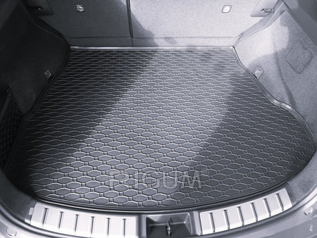 Vasche baule Lexus NX 350h Hybrid, carrozzeria suv, fabbricazione 11.2021 - presente | 418026
