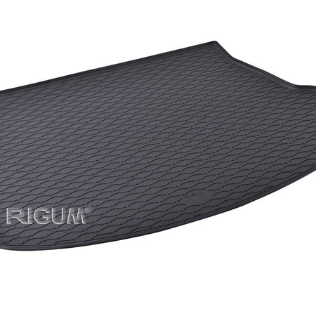 Vasche baule Lexus NX 450h Plug-in Hybrid, carrozzeria suv, fabbricazione 11.2021 - presente | 418026