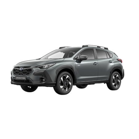 Vasche baule Subaru Crosstrek