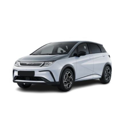 Protezione soglia porta in acciaio inossidabile BYD Dolphin