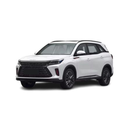 Tappetini auto a vaschetta DFSK Fengon