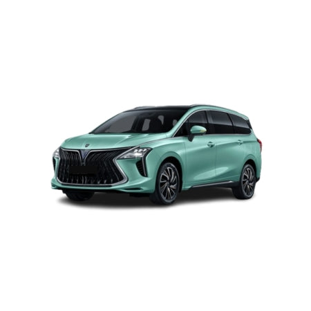 Tappetini auto a vaschetta Forthing U-Tour