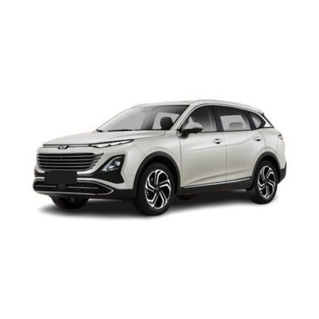 Tappetini auto a vaschetta Bestune T90