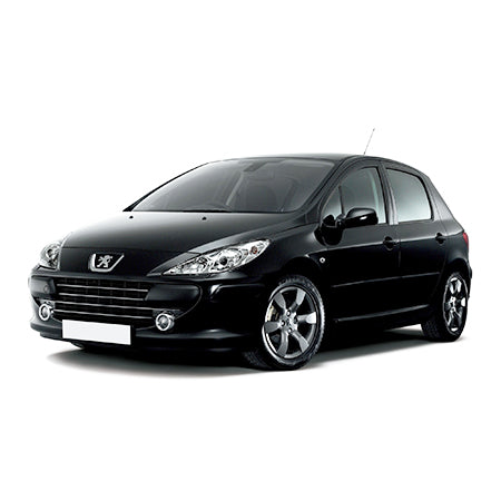 Tappetini auto a vaschetta Peugeot 307 208 II fabbricazione 06.2019 - presente, carrozzeria hatchback