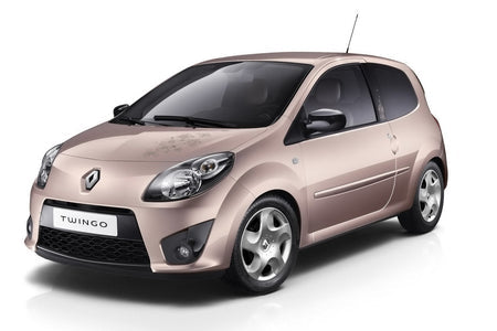 Protezione soglia porta in acciaio inossidabile Renault Twingo II fabbricazione 06.2007 - 07.2014, carrozzeria hatchback