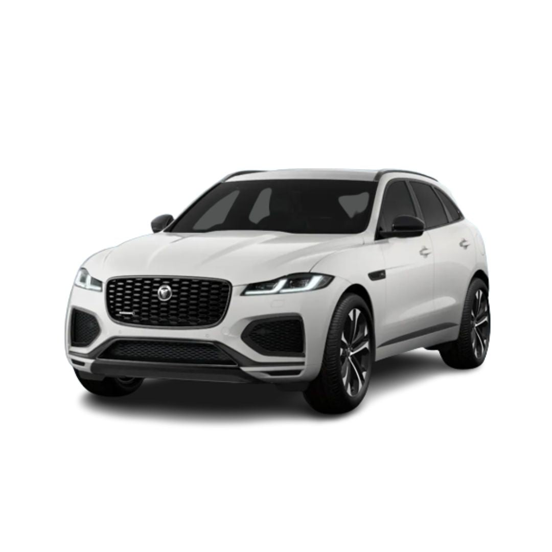 Protezione soglia porta in acciaio inossidabile Jaguar F-Pace MHEV fabbricazione 2020 - presente, carrozzeria suv