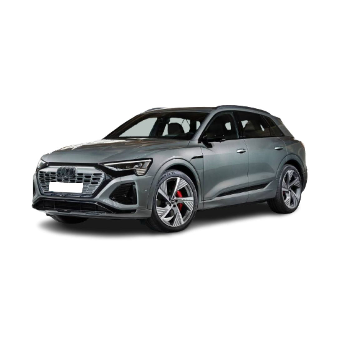 Tappetini auto a vaschetta Audi Q8 E-Tron Electric fabbricazione 05.2019 - presente, carrozzeria suv