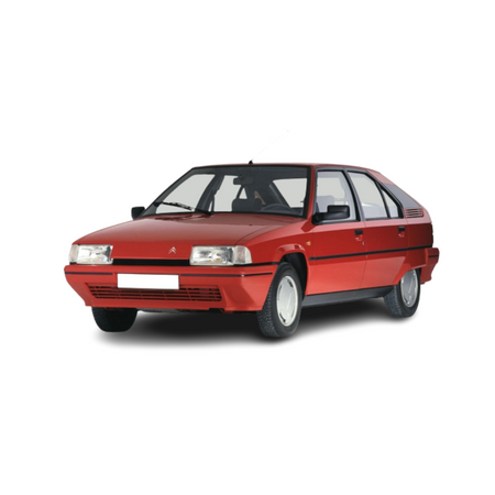 Deflettori aria Citroen BX