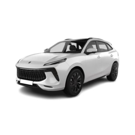 Tappetini auto in gomma Forthing T5 EVO fabbricazione 2020 - presente, carrozzeria suv