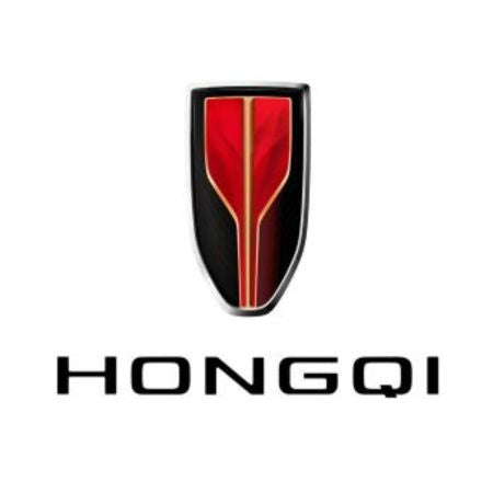 Tappetini auto a vaschetta Hongqi