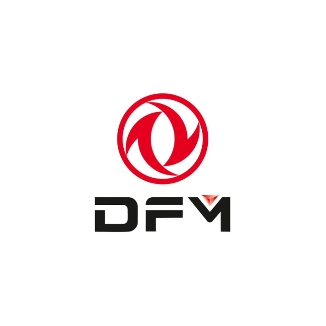 Tappetini auto a vaschetta Dongfeng