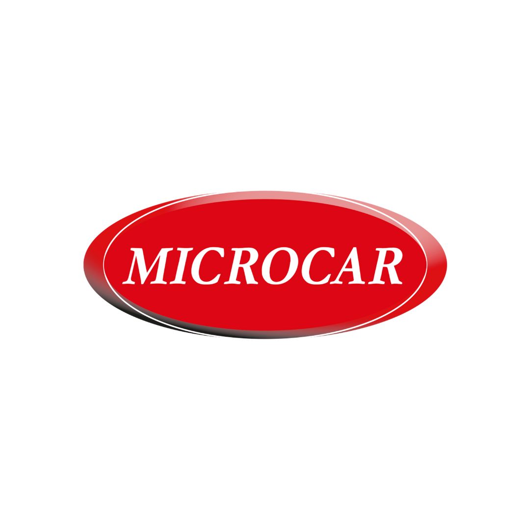 Vasche baule Microcar