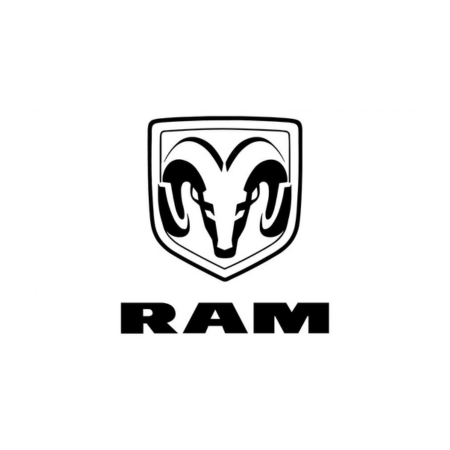 Tappetini auto in gomma RAM