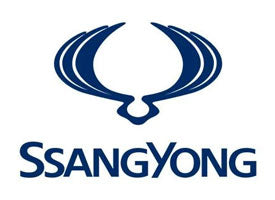 Modanatura laterale della carrozzeria Ssang Yong