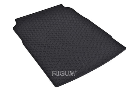 Vasche baule BMW Serie 5 F10, carrozzeria berlina, fabbricazione 03.2010 - 2013 | 403244