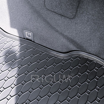 Vasche baule Lexus NX 450h Plug-in Hybrid, carrozzeria suv, fabbricazione 11.2021 - presente | 418026