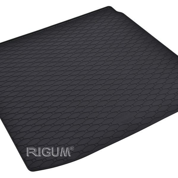 Vasche baule Renault Arkana E-Tech Hybrid, carrozzeria suv, fabbricazione 03.2021 - presente | 428001